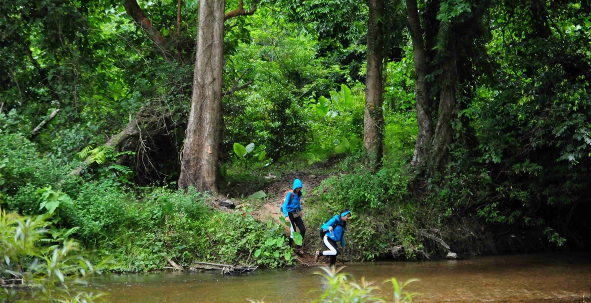 Cuc Phuong National Park Day Tour